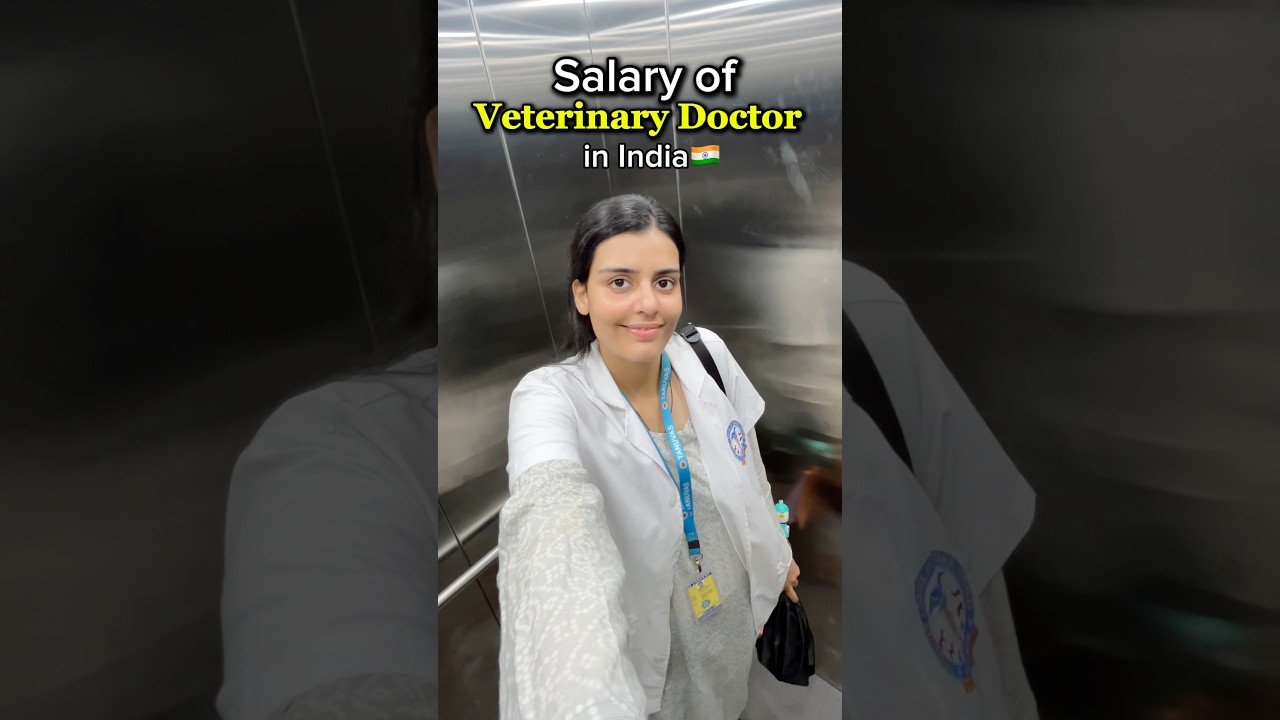 Salary of Veterinary Doctor in India 😱| Q&A series: Part 6 #vet #veterinary #salary #doctor #short
