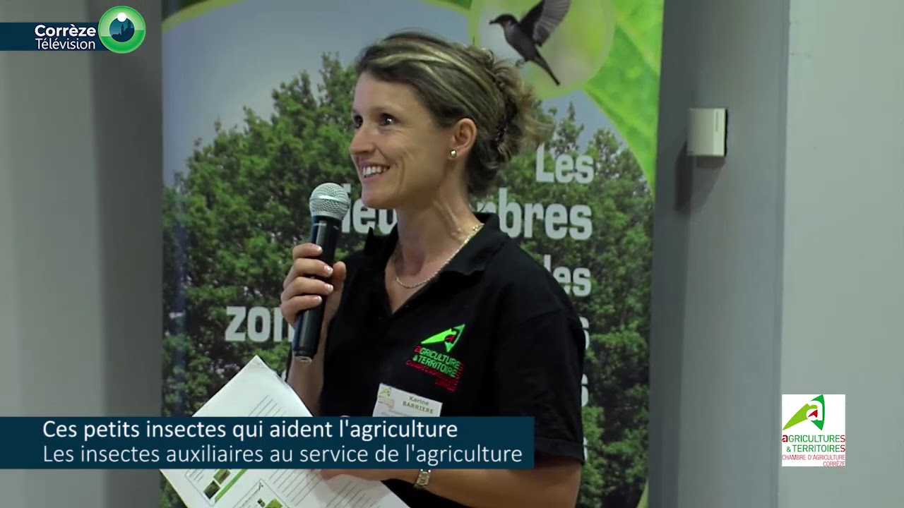 Ces petits insectes qui aident l'agriculture