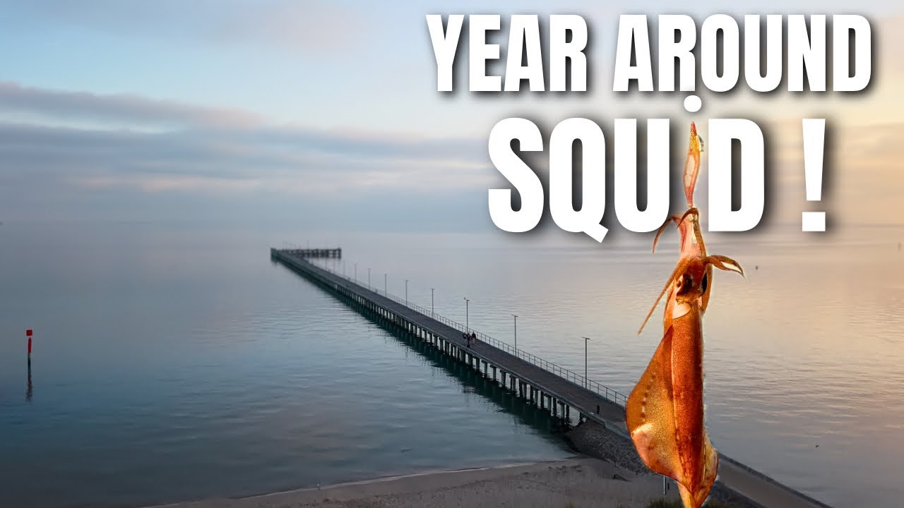 Fishing at Rye Pier: What to Catch & How | Guide to best Fishing locations