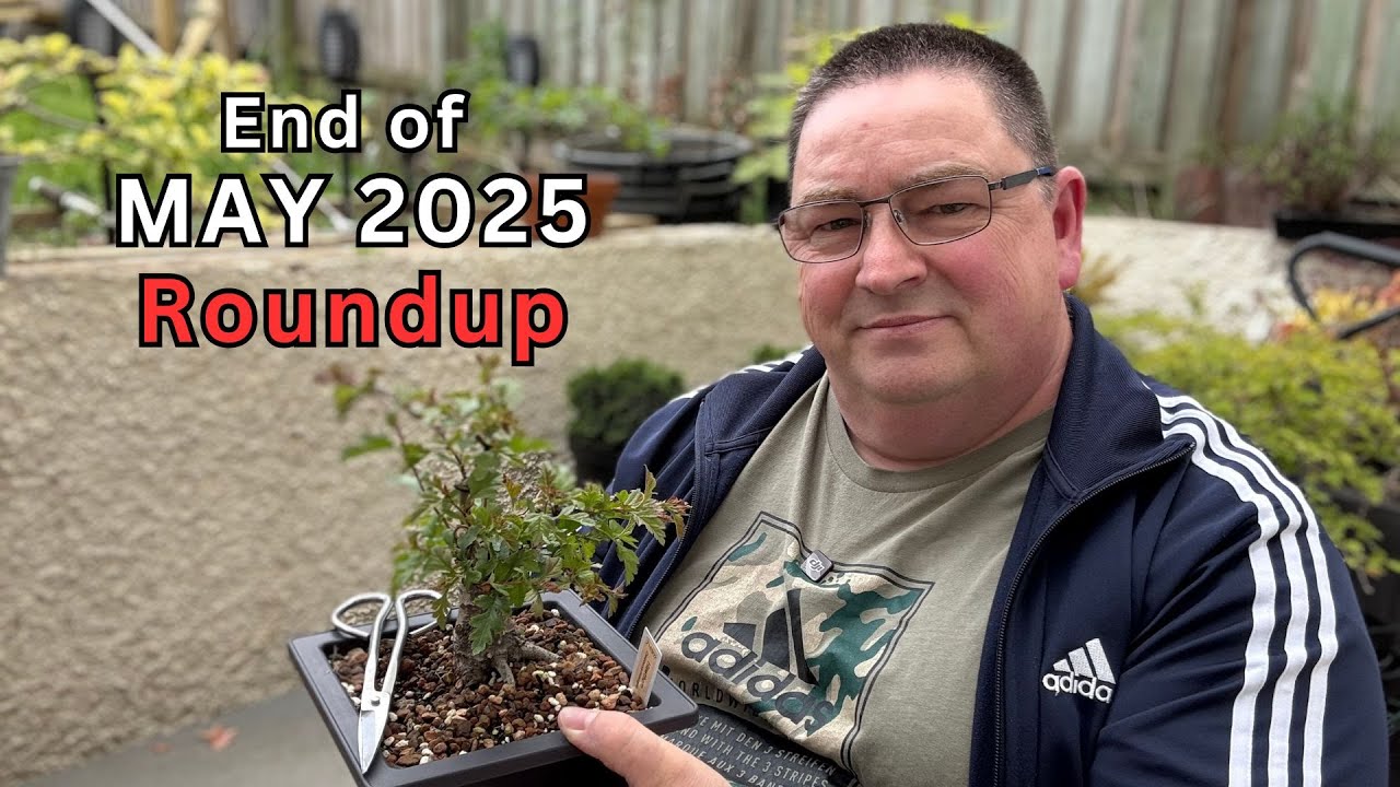 End of May 2025 Update | Bonsai Work | Walk and Talk Around the Garden
