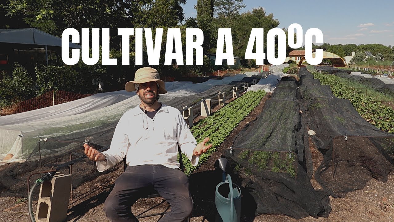 Cultivar a 40ªC | Ideas para el Verano en la Huerta