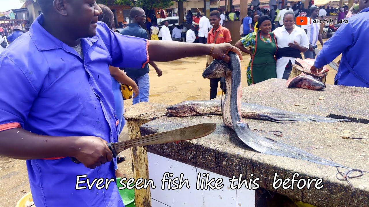 Fish Like You've Never Seen Before in Gabba Harbour Uganda!