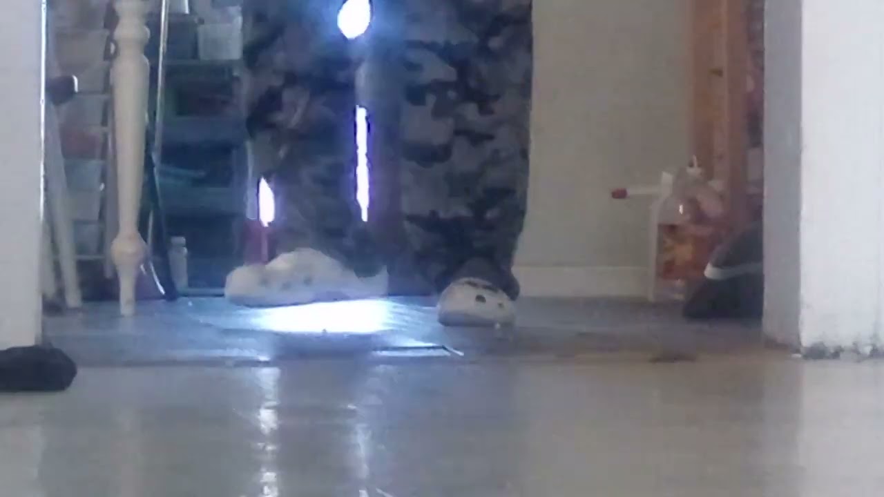 Shooting at cans what's my Arby's gun