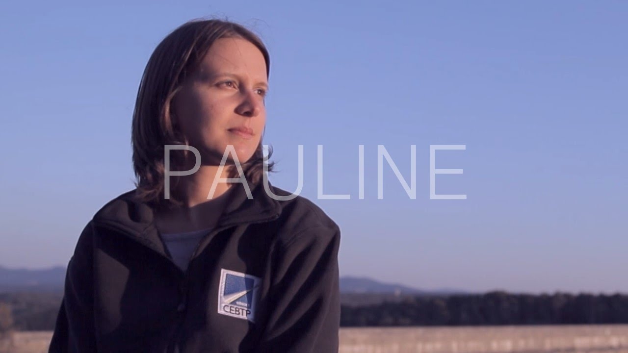Pauline - Diagnostiquer