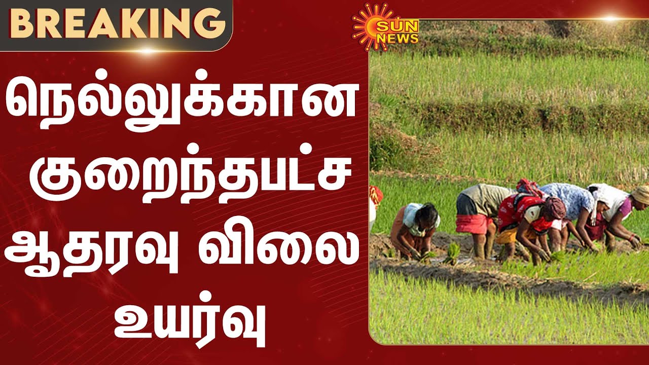 Minimum Support Price for Paddy Hiked | Farmers | Tamil Nadu | Sun News