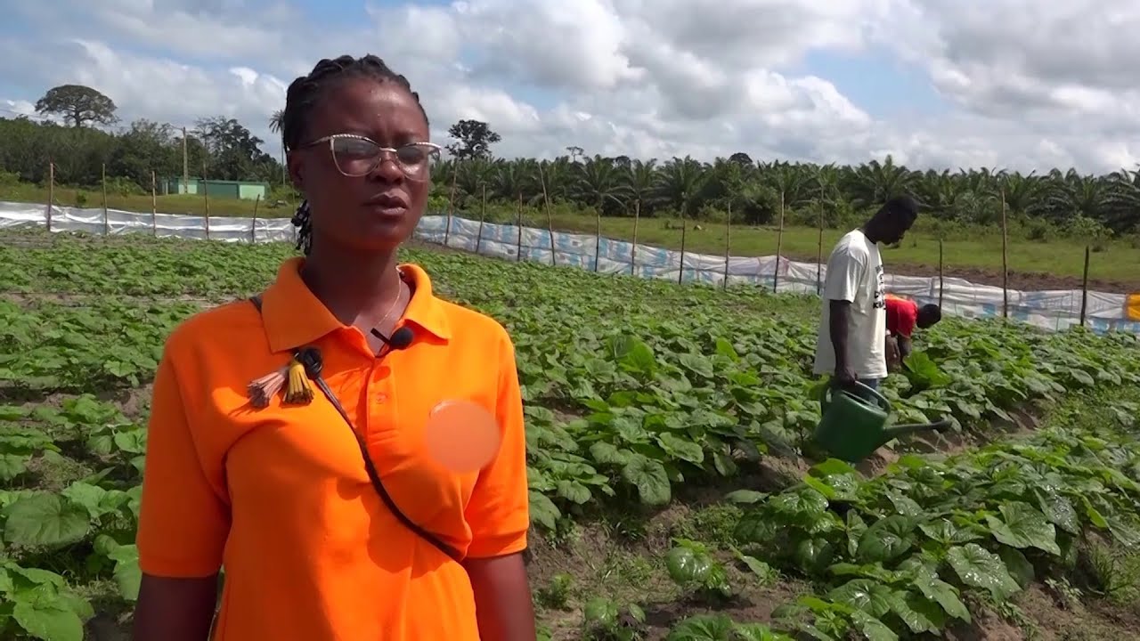 Agriculture, le parcours inspirant de Marcelline Kouakou, une le&ccedil;on de pers&eacute;v&eacute;rance pour la jeunesse