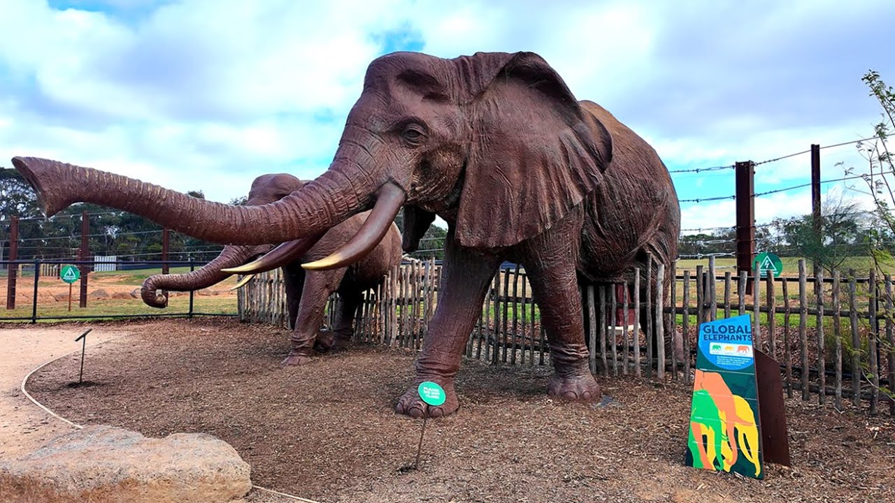 Elephant Walk At Werribee Open Range Zoo