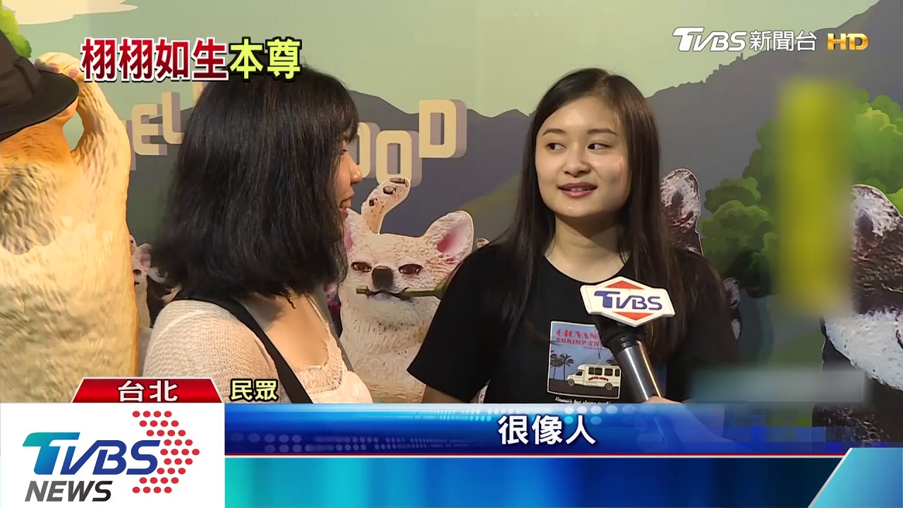 「動物也瘋狂」大公仔超療癒　小辛巴本尊曝光