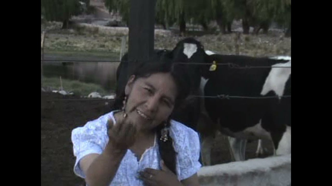 SERGIA LLANOS   OTRA VEZ CONTIGO