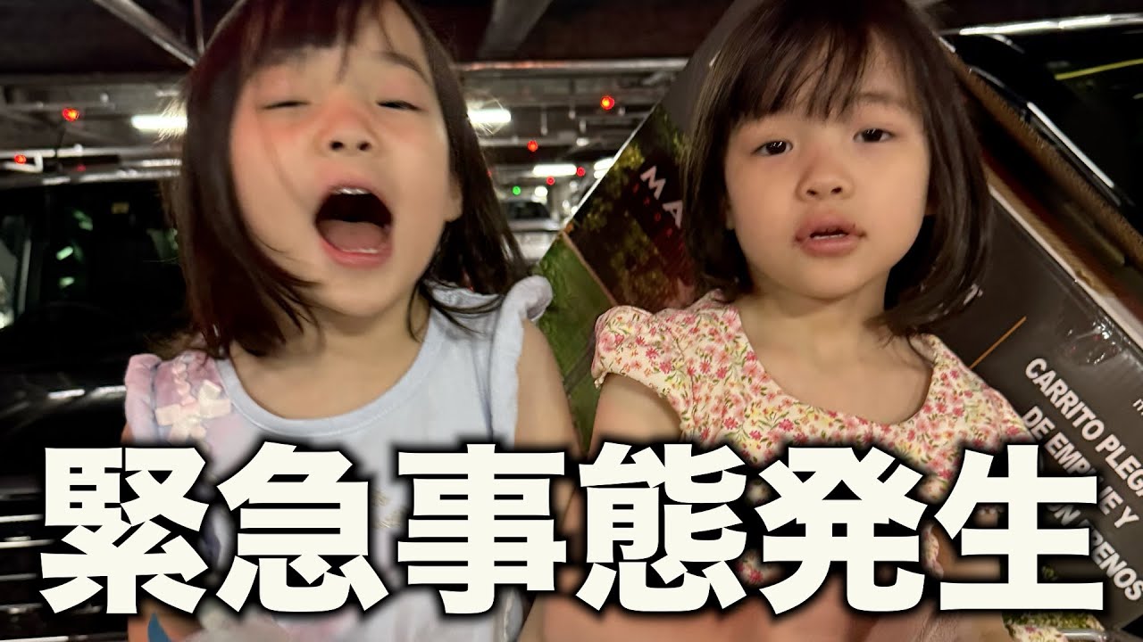 【大パニック】自閉症５歳双子の