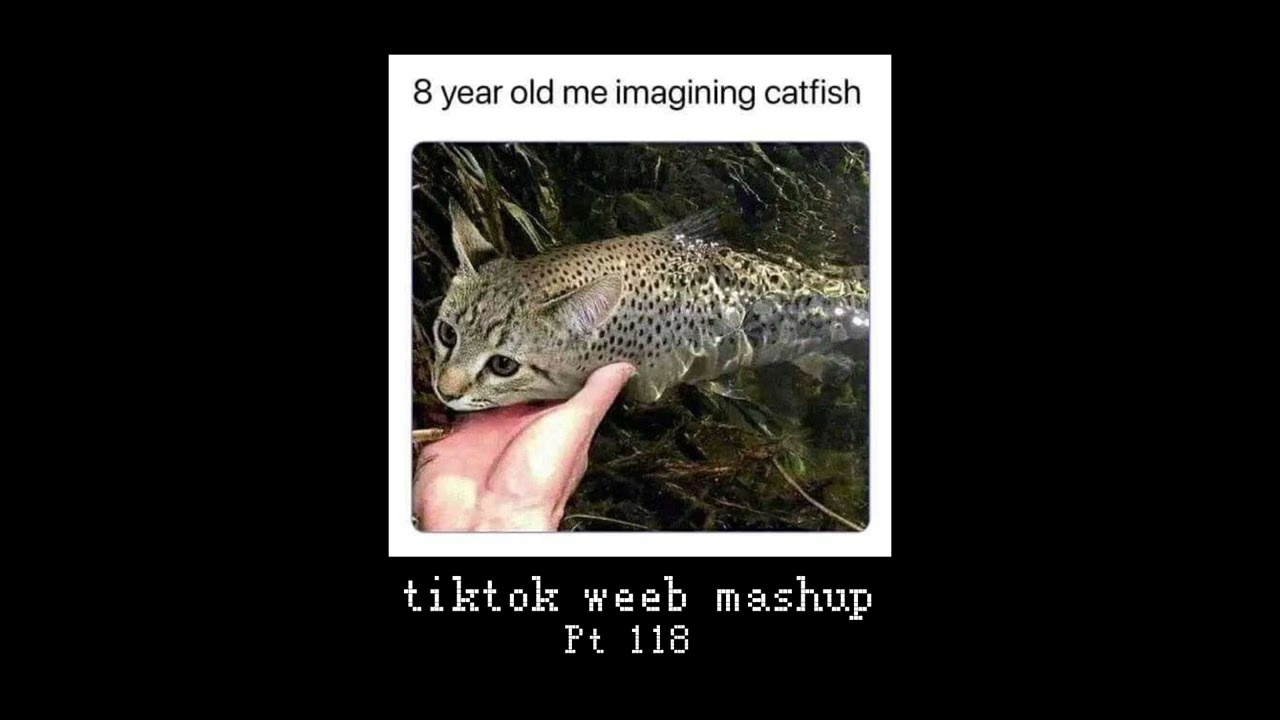 tiktok weeb mashup 118 (54 songs)
