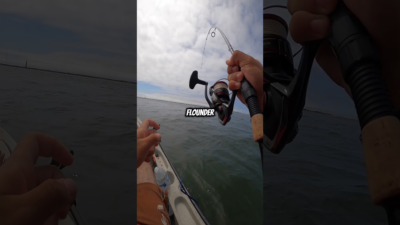 Personal best Fluke!! 8 pound fluke Long Island NY #fishingtechniques #fish #kayakfishingtips
