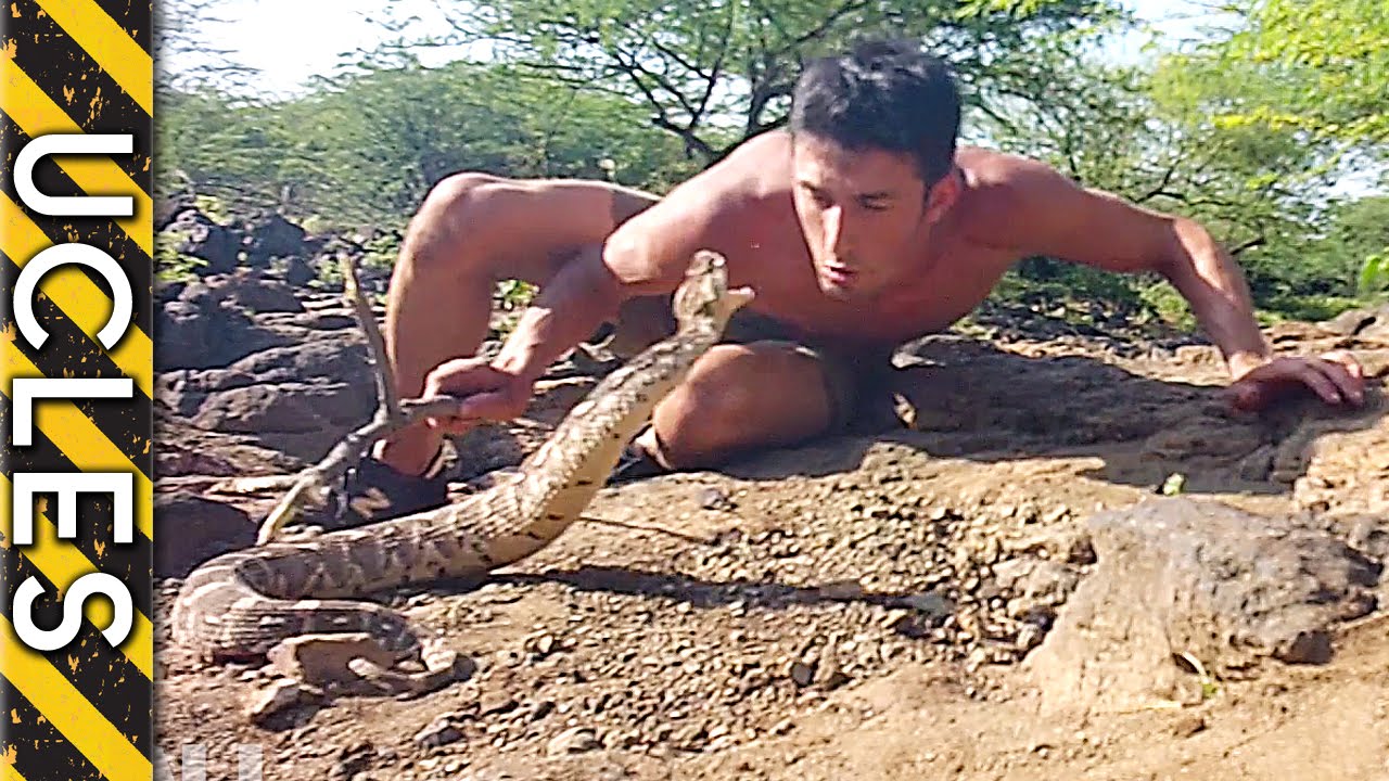 Puff Adder - Do you think he bit me?