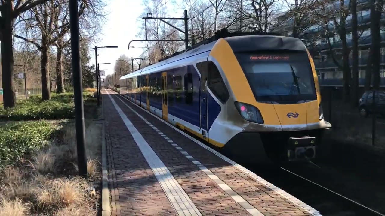 Treinen op Station Den Dolder