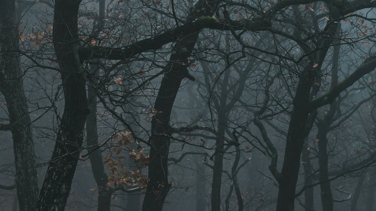 Dark Whispers | Ethereal Textures & Melancholic Atmosphere