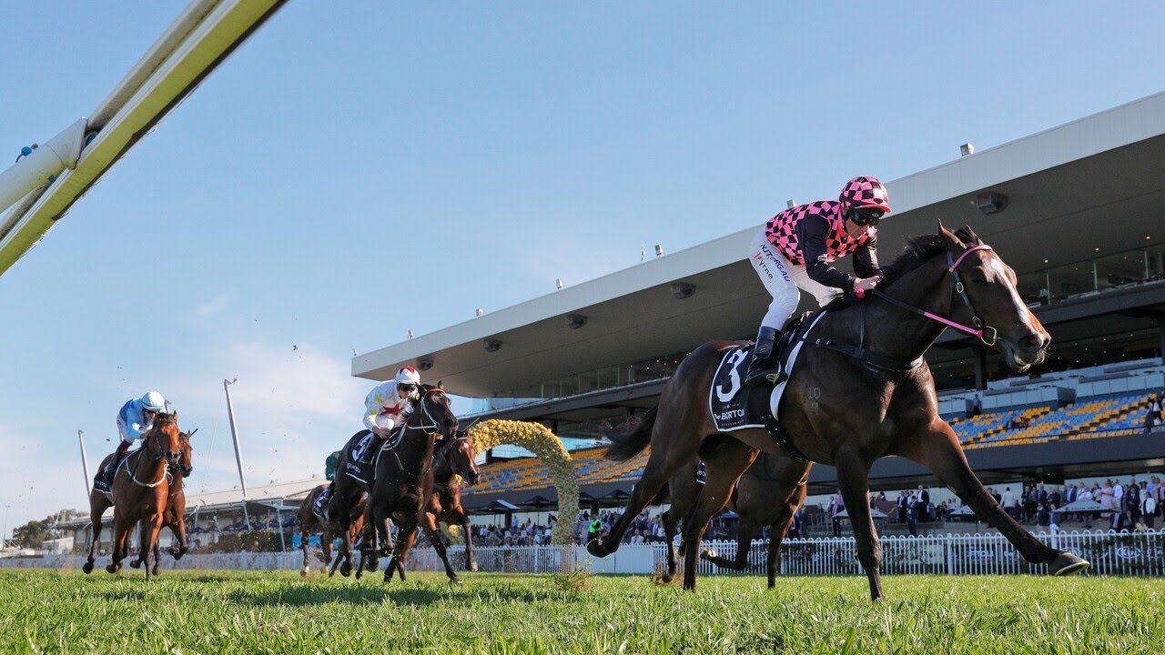 Insight into the ‘art and science’ behind horse racing analysis