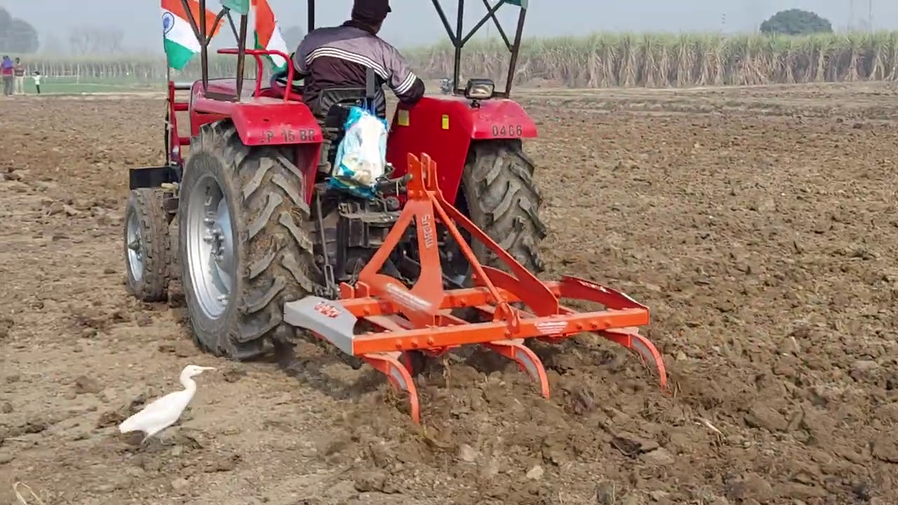 डेमो,तोता हल ,पलाव से भी बढ़िया, 5 tain wala . 50 HP tractor Massey 245 DI बहुत बढ़िया .9639106203.