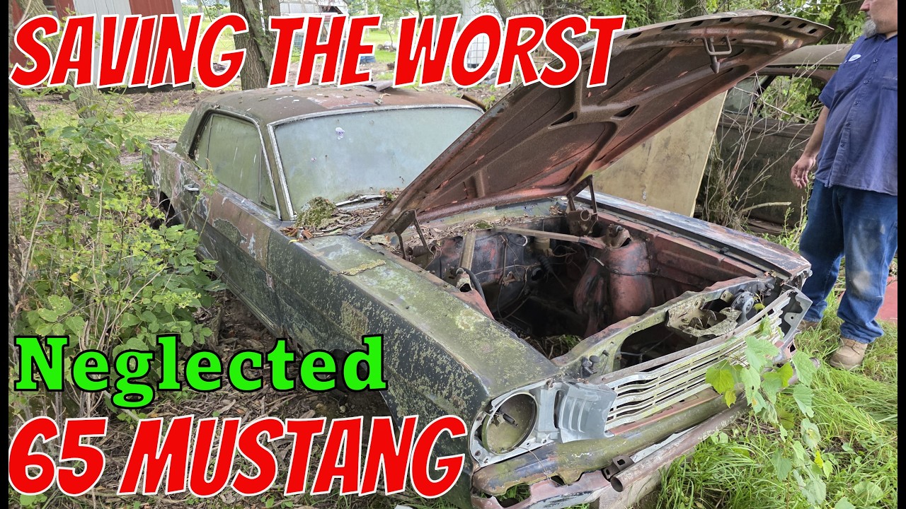 Reviving the WORST 65 Mustang V8 Forgotten for 45 YEARS! Gets 2nd life! Saving a Classic on a BUDGET