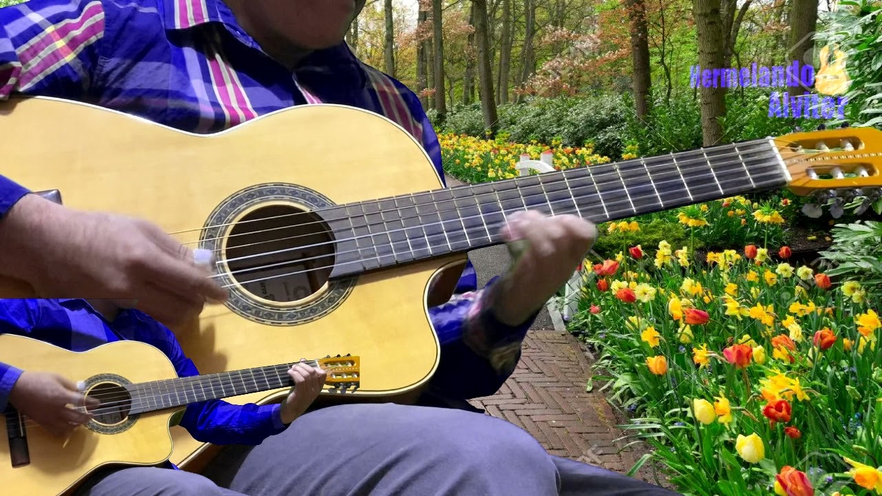 Nieves de Enero - Instrumental Guitarra y Requinto - Hermelando y Mr. H (Chalino Sánchez)