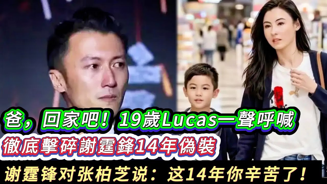 謝霆鋒張柏芝 分開整整14年的這對前夫妻,竟然要在香港舉辦世紀重婚典禮!話題閱讀量,3小時破5億!全網熱搜榜,霸榜整整一周!