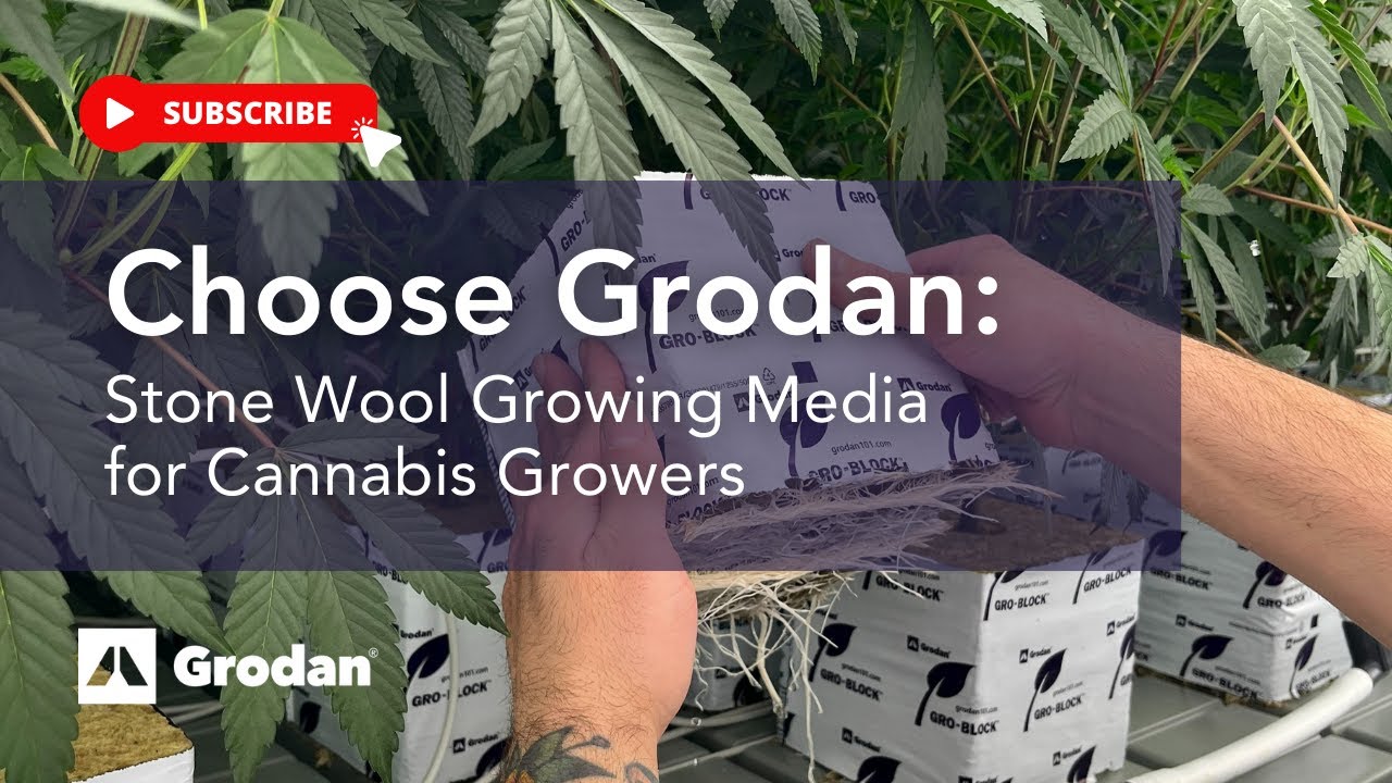 Choose Grodan Stone Wool