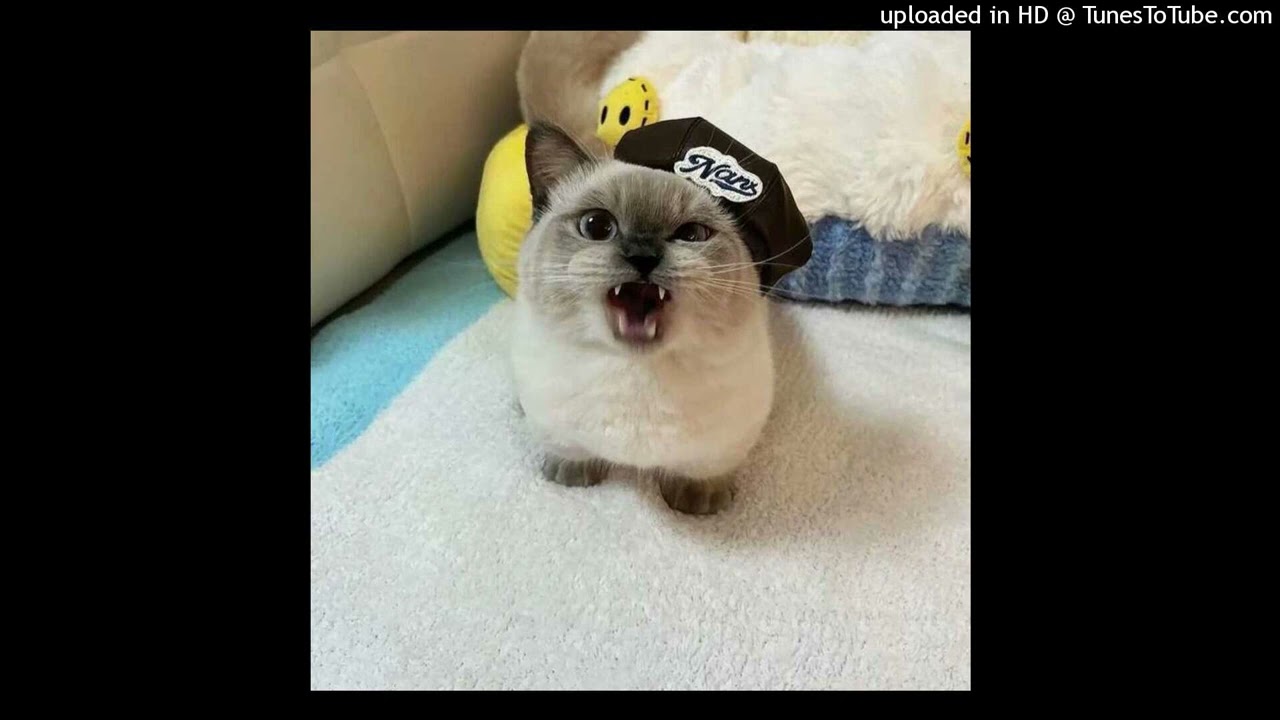 bktherula smokingskul azure type beat