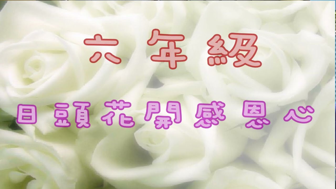 03日頭花開感恩心