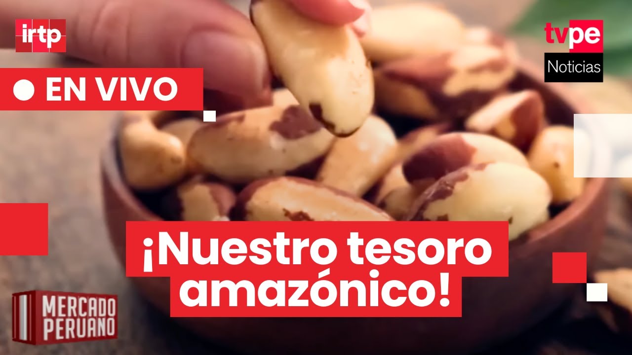 Orgullo nacional: la casta&ntilde;a amaz&oacute;nica que une al Per&uacute; con el mundo I 