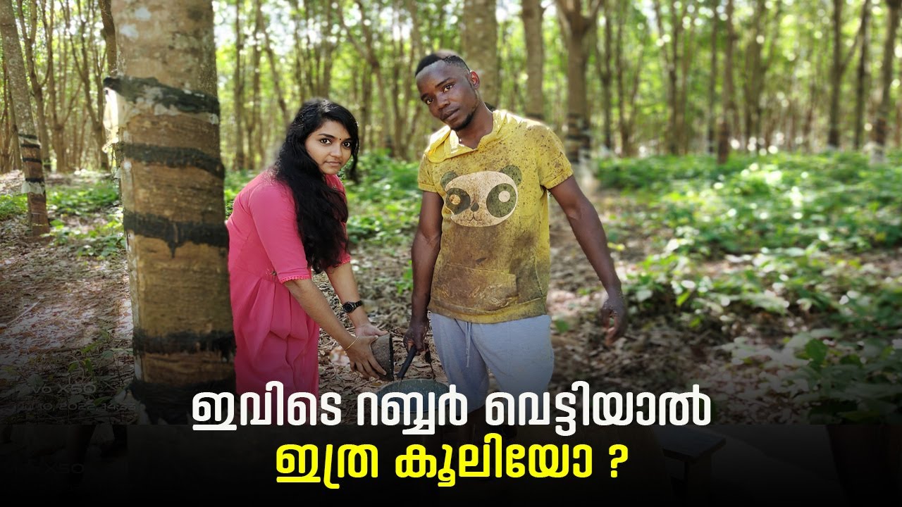 ആഫ്രിക്കയിൽ ടാപ്പിങ് ജോലി കൂലി കേട്ടാൽ ഞെട്ടും😲 Tapping job#youtube #Travelexpo by Arun & Sumi#job