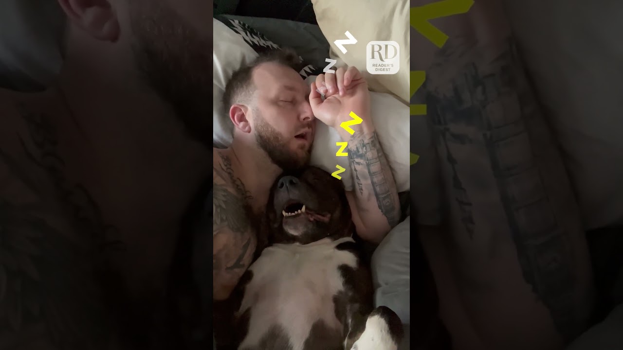Wife Catches Husband and Dog Snoring Together