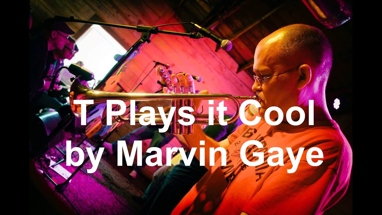 Live Looping & Trumpet Improv on 'T Plays it Cool' by Marvin Gaye