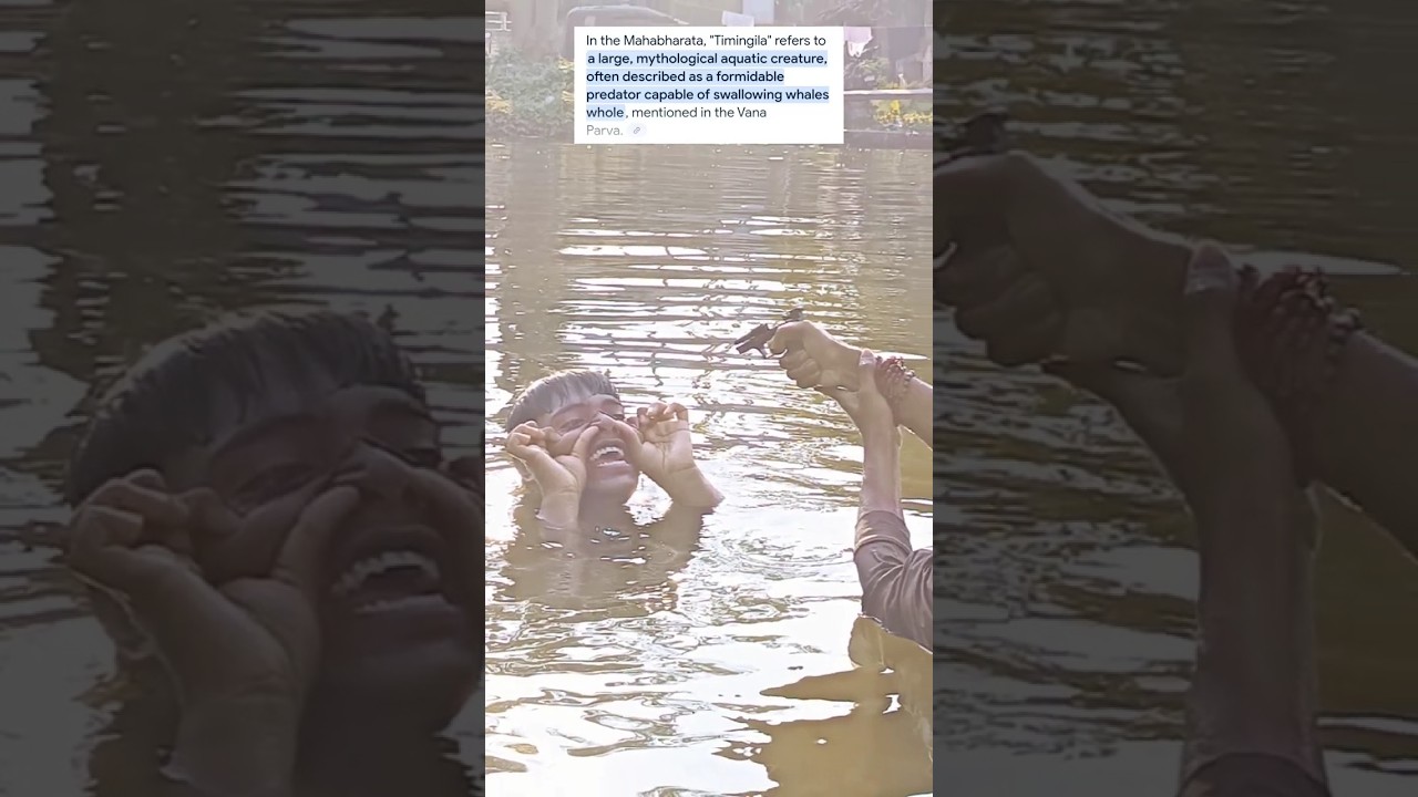 Timingila 🧟 | PT - 1  | 