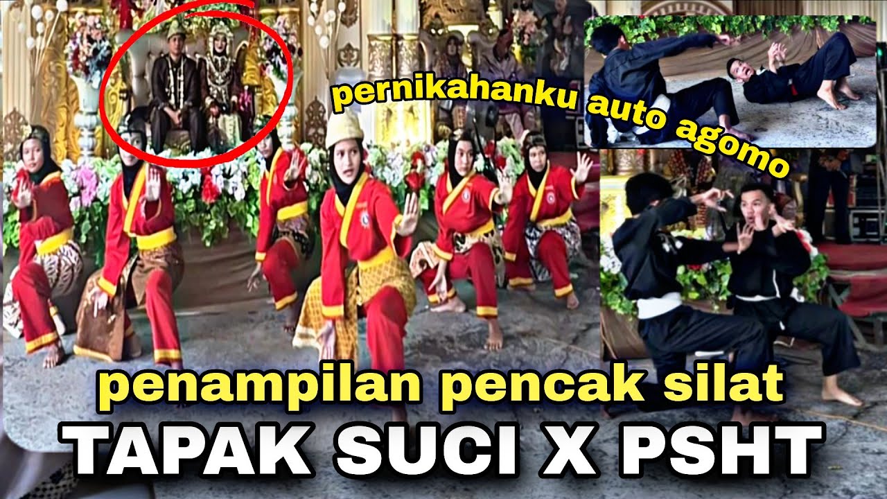 Penampilan Pencak silat TAPAK SUCI X PSHT di PERNIKAHAN KU