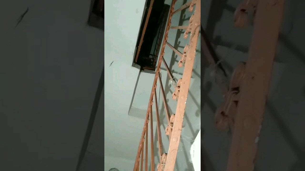 Urbex Life #illegalfreedom #urbexlovers #urbexlife #urbexworld #urbexvideos #ababdonedplaces