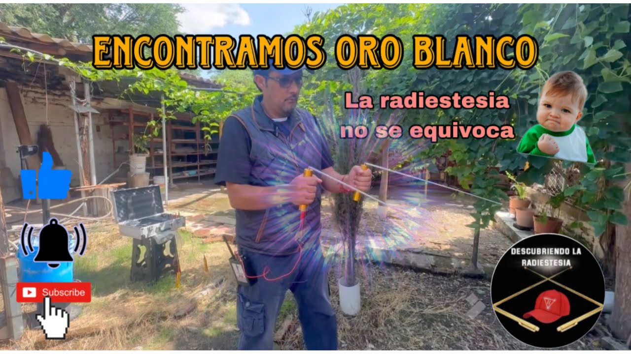 Encontramos oro blanco