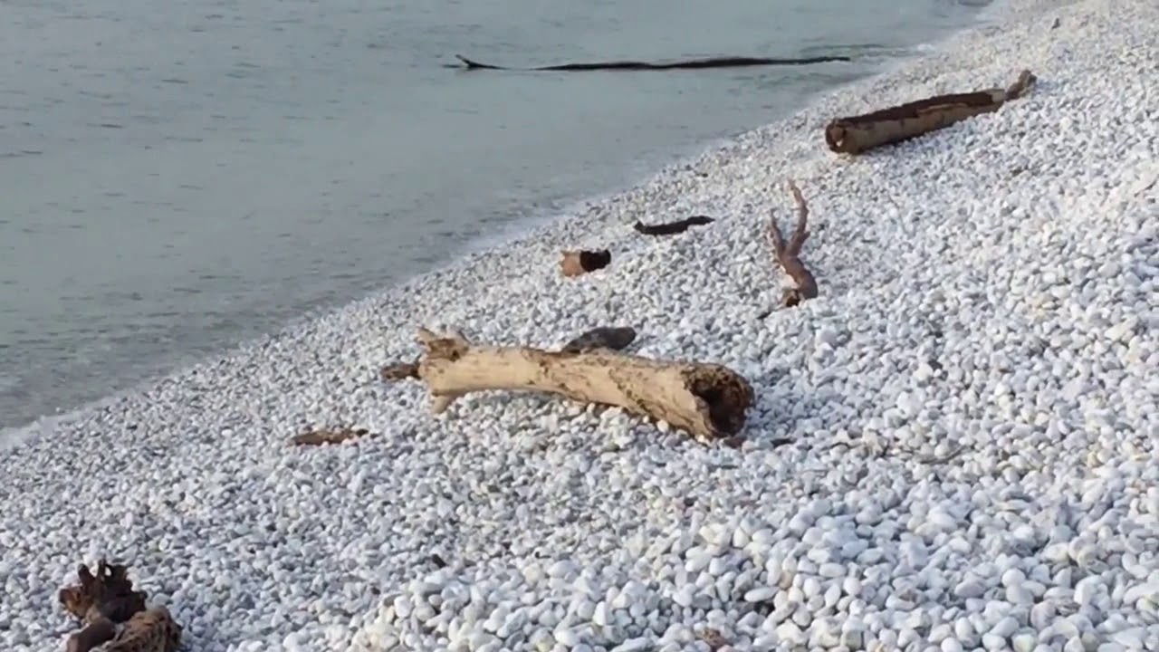 Con un legno, portato dal mare, realizzo una decorazione Natalizia 🎄☃️❄️