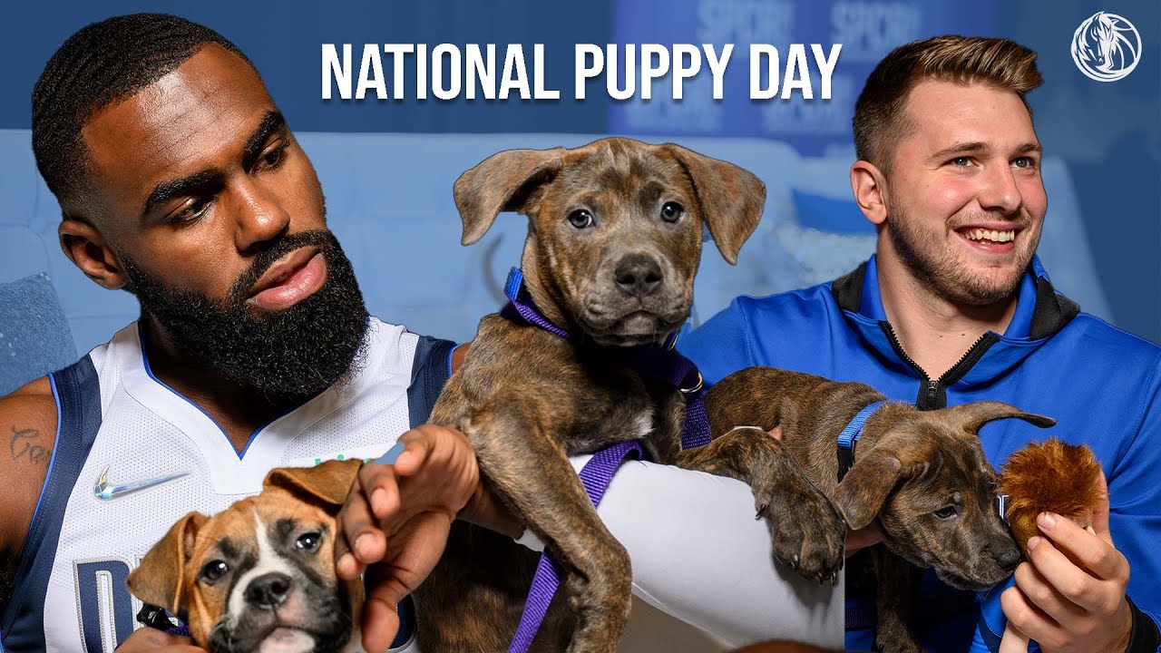 The Mavs and National Puppy Day