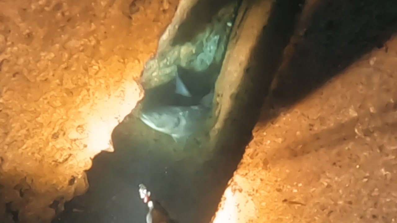 Pescasub: DUE SPLENDIDE REGINE: LA SPELEOLOGA, LA FACILE E ALTRE STORIE