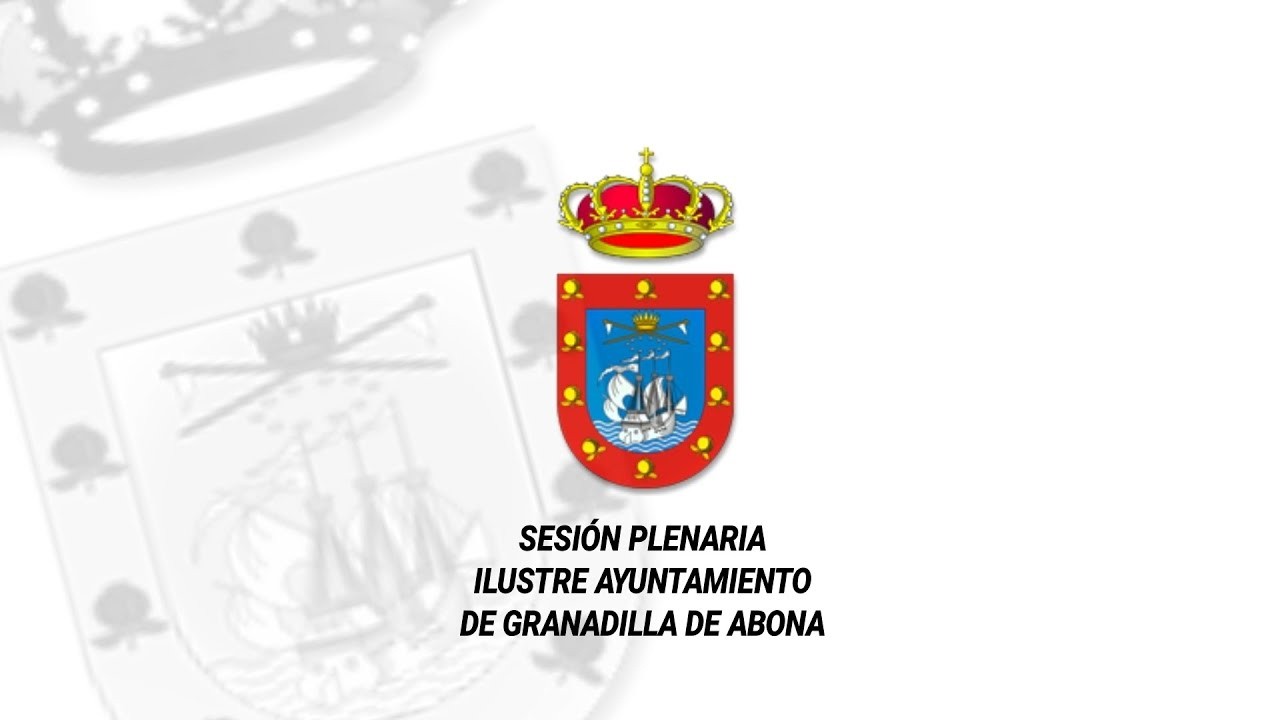 Pleno Ordinario 29 de Enero 2025