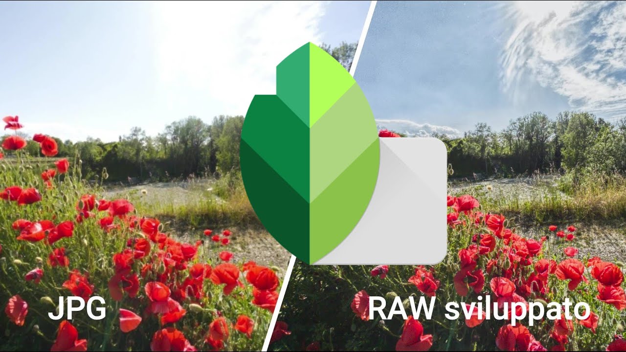 Come sviluppare una FOTO in RAW su Smartphone con l'app gratuita Snapseed. Da RAW a Jpg