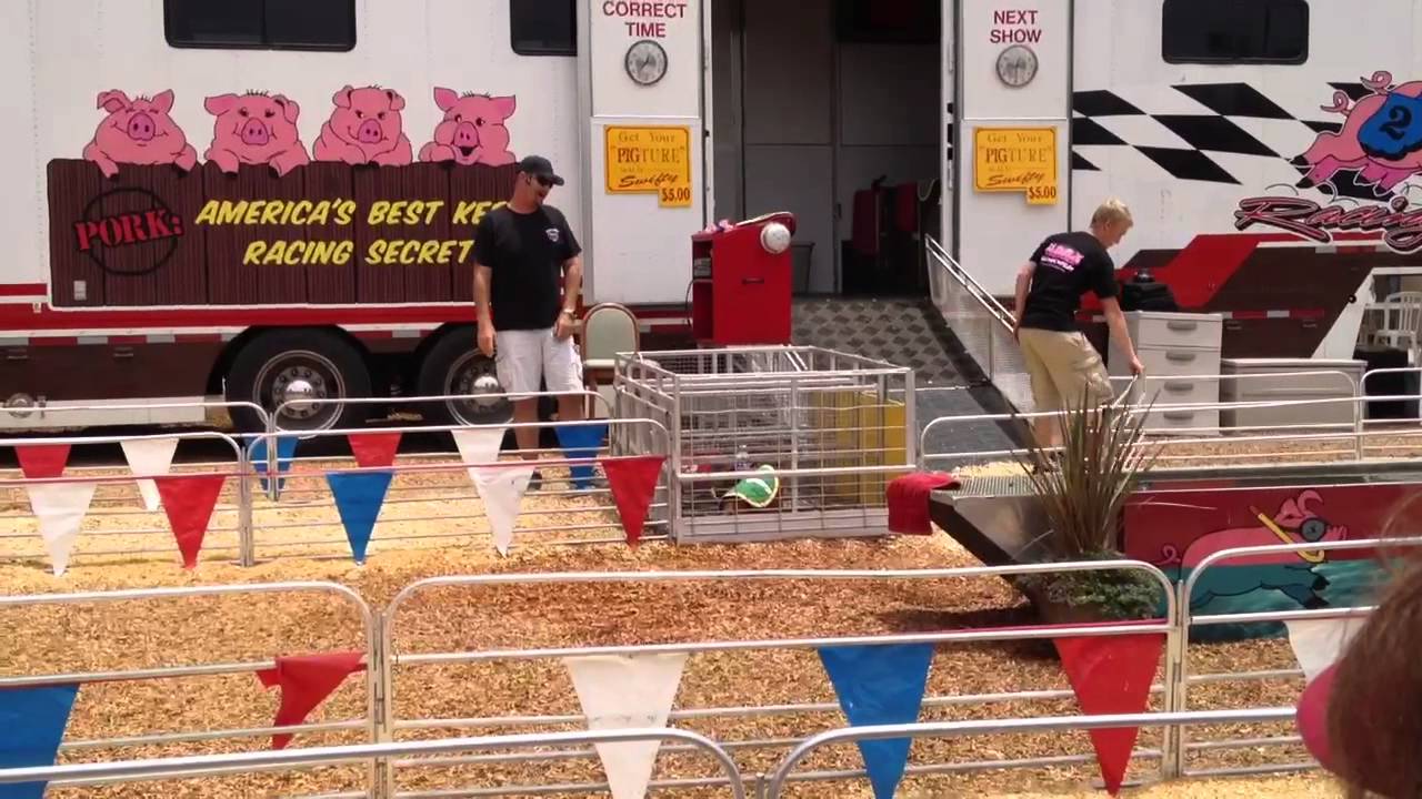 Pig Races at Del Mar Fair