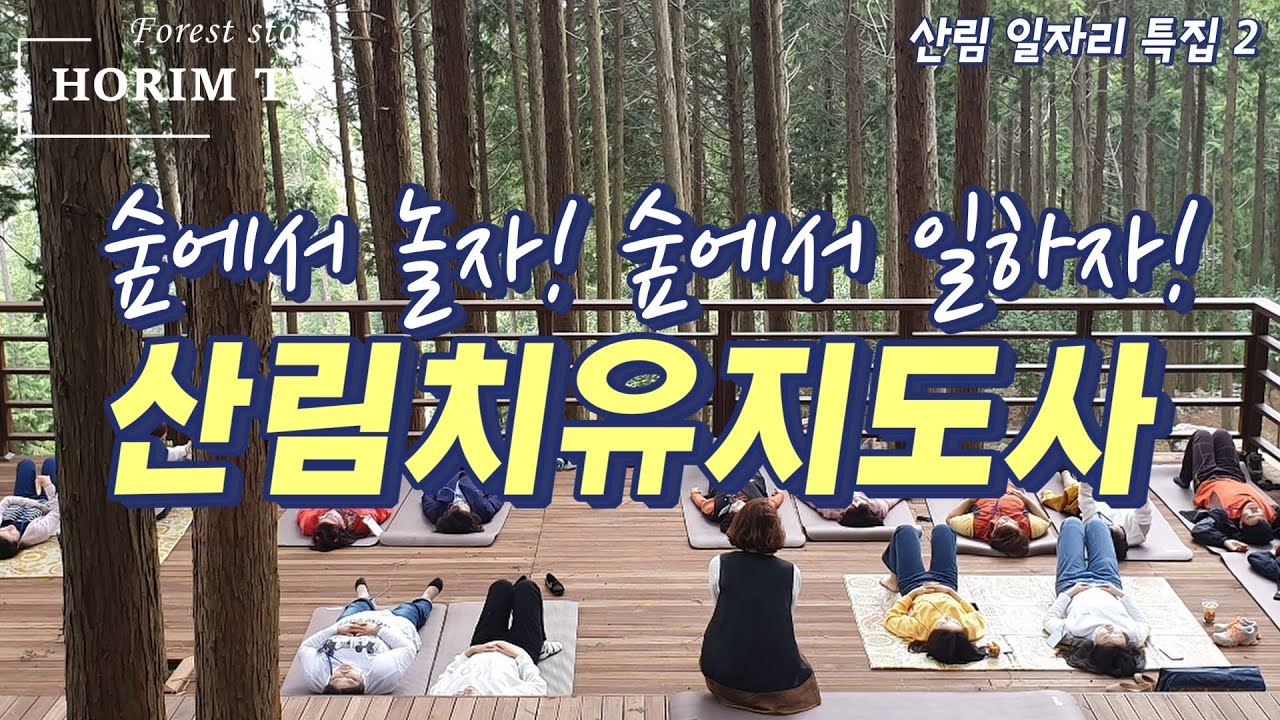산림치유지도사, 숲 전문 HORIM-TV