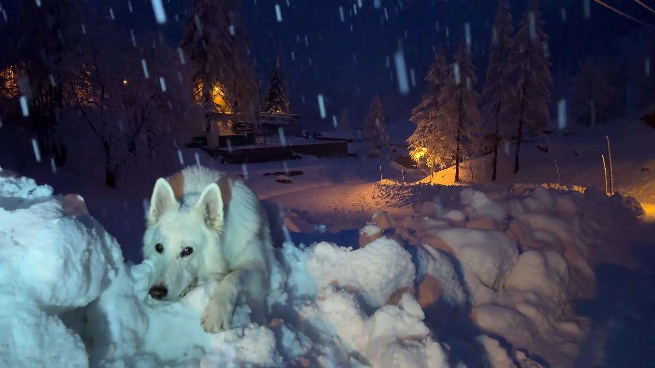 Heavy snowfall in Switzerland 4K 🇨🇭
