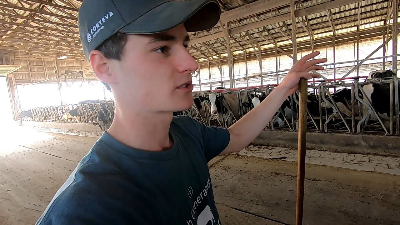 Farm Work on the Farm