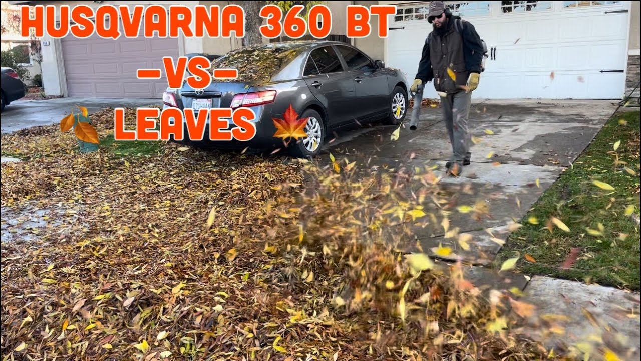 Husqvarna 360 BT -VS- WET LEAVES! ((( ODDLY SATISFYING )))