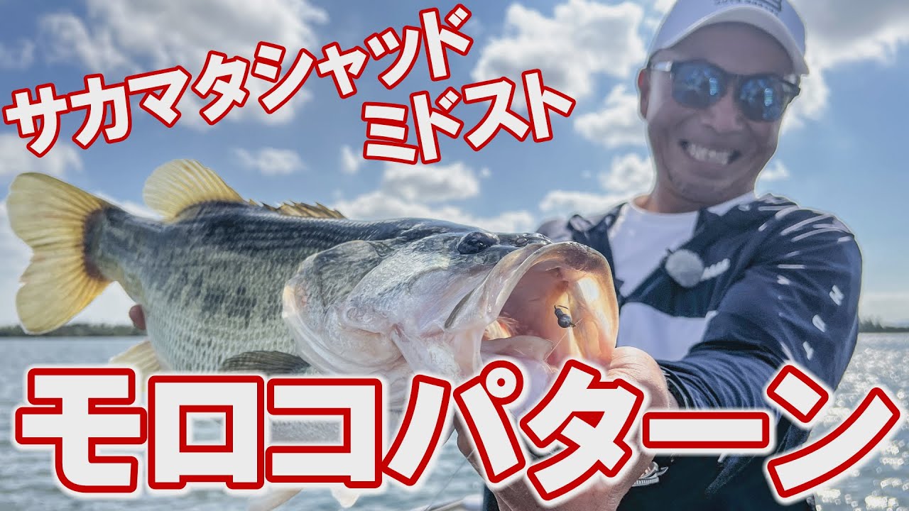 モロコパターン×サカマタシャッド　冨本タケル【琵琶湖バス釣り】