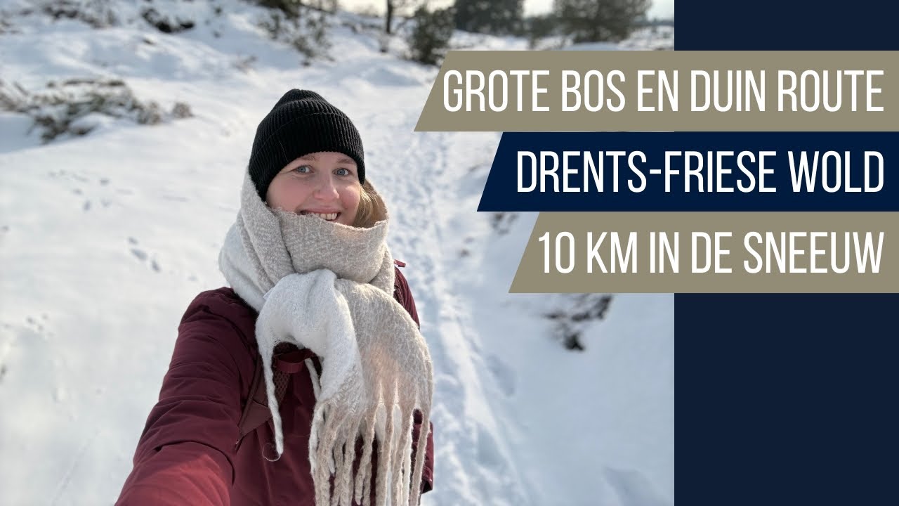 Sneeuwwandeling Drents-Friese Wold: de grote bos- en duinroute (10 km)