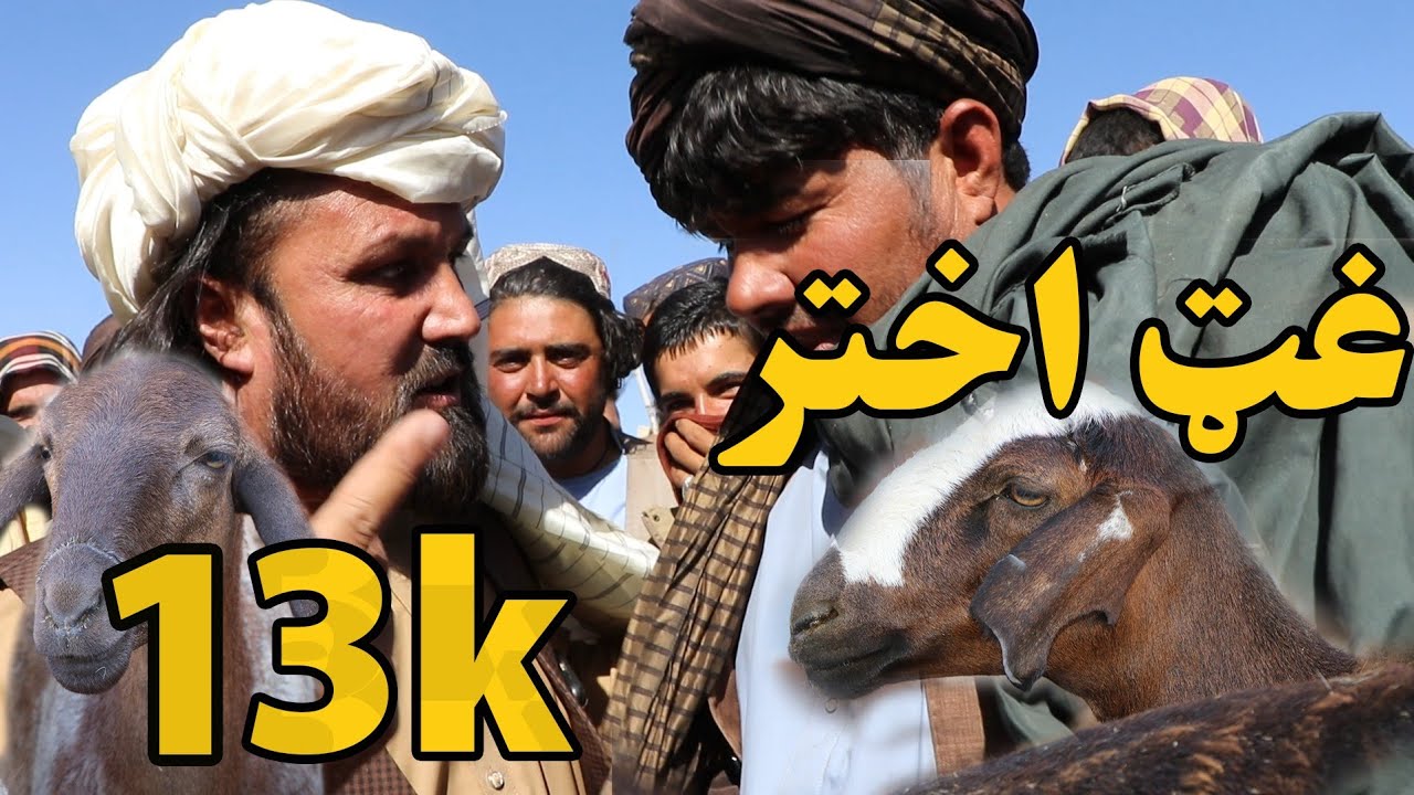 غټ اختر 🐫🐪