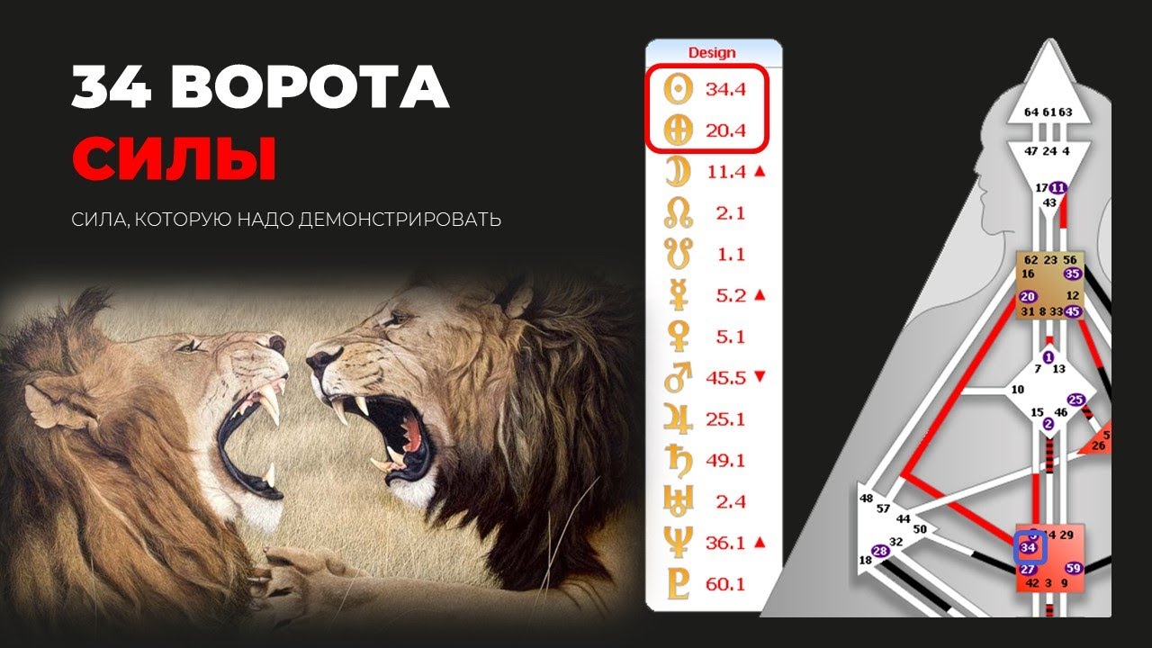 Поле силы || 34 ворота || Дизайн Человека - Лившиц Лев
