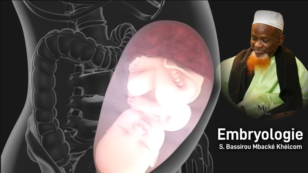 Embryologie - Serigne Bassirou Mbacké Khélcom